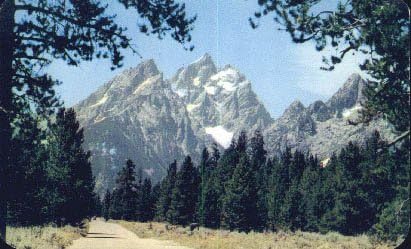 Teton Ulusal Parkı, Wyoming Kartpostalı