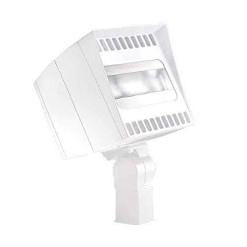 RAB aydınlatma CANVAS78SFNW / PC beyaz LED tuval Slipfitter projektör, 6828 ışık çıkışı, 78 W, 4000 K