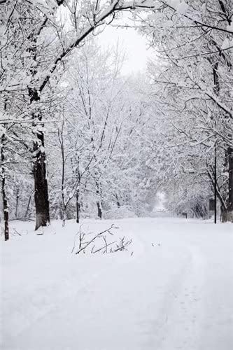 Loccor 6x9ft Kış Sahne Zemin Sokak Ağaçları Kalın Karla Kaplı Fotoğraf Arka Plan Noel Düğün Doğum Günü Yeni Yıl Dekorasyon Doğal Tatil