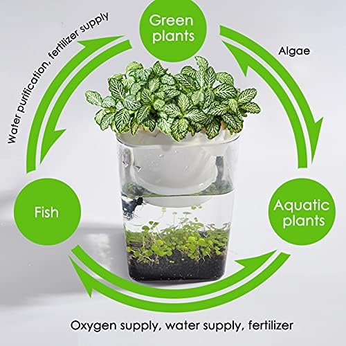 XJJZS Mini Balık Tankı Balık Sebze Simbiyotik Su Çim Ultraing-Beyaz Masaüstü Ekolojik Plastik Uygun Balık Tankı Bitkiler Büyür