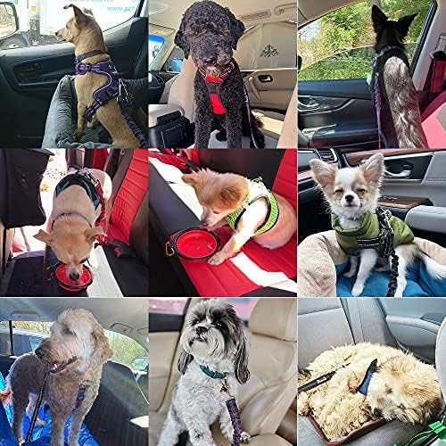 SlowTon Köpek Araba Emniyet Kemeri, Pet Emniyet Emniyet Kemeri Kayış Ayarlanabilir Geri Çekilebilir Elastik Yansıtıcı Araç için Ağır