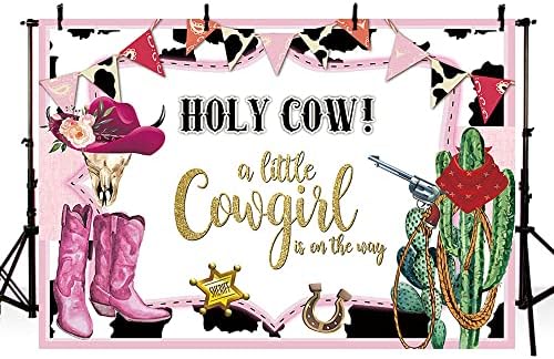 AIBIIN 7x5ft Küçük Bir Cowgirl Bebek Duş Zemin İlk Rodeo Doğum Günü Arka Plan Cowgirl Bebek Duş Çiçek Cowgirl Meksika Kaktüs Rustik