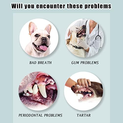 Thinslimer 4 Paket Kedi ve Köpek Diş Fırçası 360 Derece Temizleme Yumuşak Kıllı Fırça Diş Bakımı Dişleri Koruyun Kedi ve Köpekler için