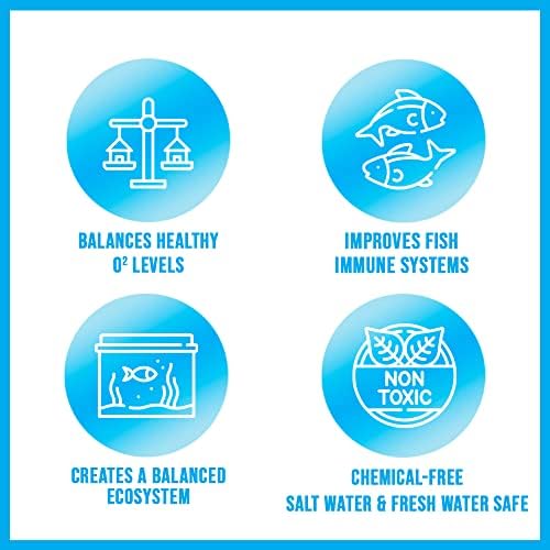 MİKROP kaldırma THERAPHG1 Tatlı Su ve Tuzlu Su Ev Akvaryumları ve Tankları için Terapi Balık Bakımı Tedavisi, 1 Galon