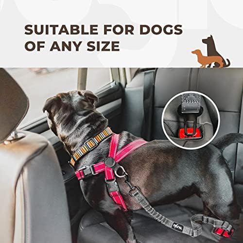 12 -37 Wuglo Köpek Emniyet Kemeri-Köpek Araba Koşum ile Güçlü Elastik Kemer-Dayanıklı ve Güvenli Köpekler Arabalar Emniyet Kemerleri