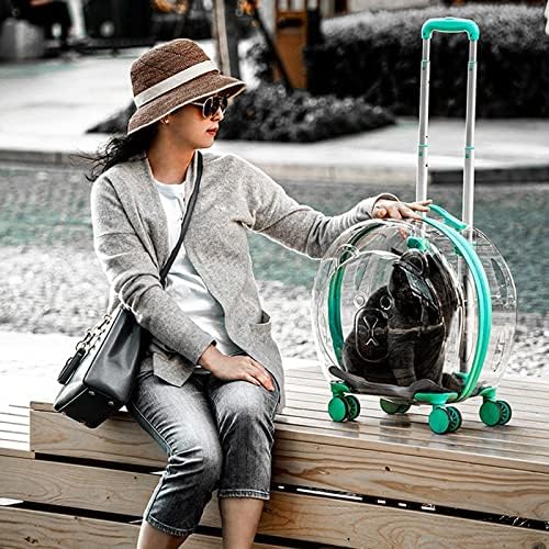 N / A Pet tekerlekli çanta Seyahat Taşıma Çantası Kabarcık Kutusu Panoramik Şeffaf Pembe Taşınabilir