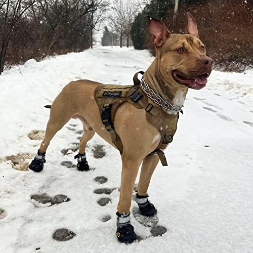 Ace Row Köpek Botları / Kaymaz Tabanlı Sıcak Kaldırım için Köpek Ayakkabıları | Su Geçirmez ve Yansıtıcı Köpek Yağmur Botları / Kış
