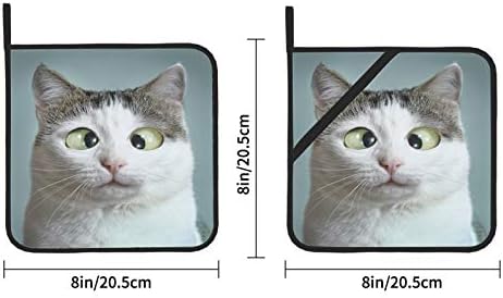 Oftalmolog Atamasında Komik Kedi Şaşı Kare tutacak Isıya Dayanıklı cepli tutacak 2 Adet Tencere Tutucu Döngüler Pişirme ve Pişirme